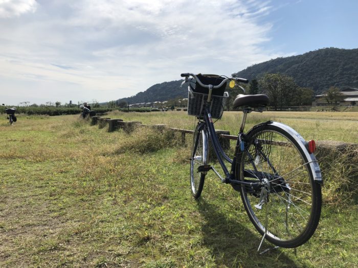 Parkerad cykel framför gräsfält