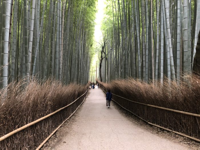 Bambuskogen i Arashiyama